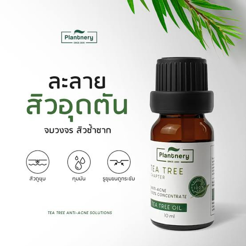 "PLANTNERY™" Tea Tree Oil Anti-Acne Concentrate (10 ml.) - แพลนท์เนอรี่™ แต้มสิว "PLANTNERY™" Tea Tree Oil Anti-Acne Concentrate (10 ml.) - แพลนท์เนอรี่™ แต้มสิว