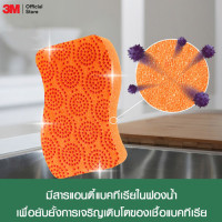 "Scotch-Brite" Scrub Dots Non Scratch Scrub Sponge (1 pc) -สก๊อตช์-ไบรต์ "Scotch-Brite" Scrub Dots Non Scratch Scrub Sponge (1 pc) -สก๊อตช์-ไบรต์