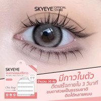 "SKYEYE" Eyelashes STANDARD (1 Box) - ขนตาปลอม ธรรมดา